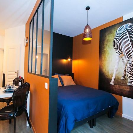 Apartmán Le Zebre, T1 Hypercentre Chic Et Cosy, Wifi Par Sovalfi Saint-Etienne  Exteriér fotografie